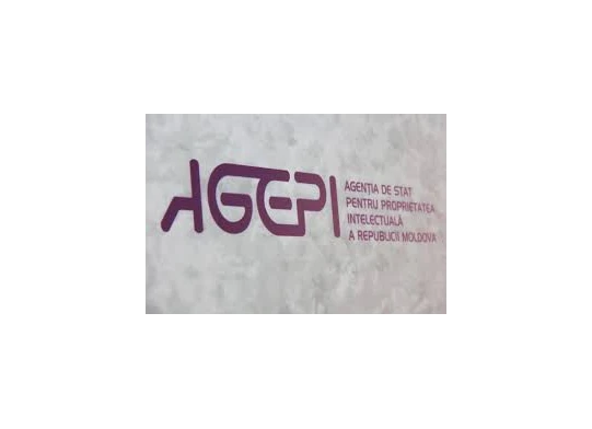 Decizii de avizare / desemnare